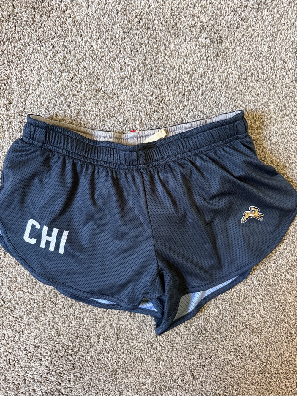Chicago Tracksmith Short